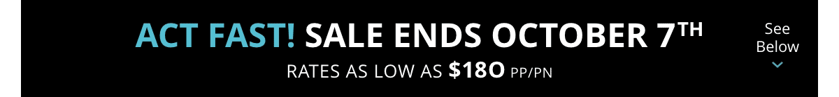 New Offer Added