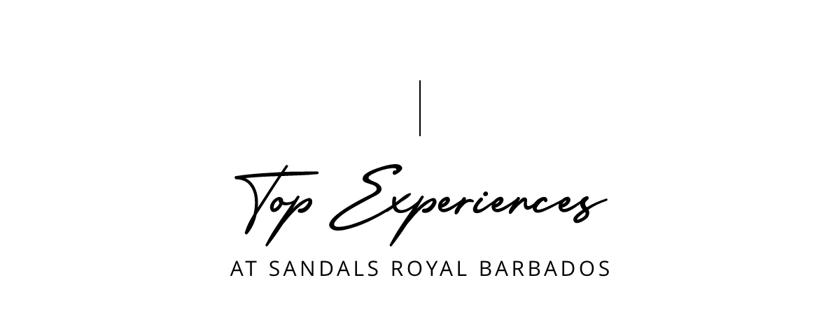 Top Experiences at Sandals Royal Barbados