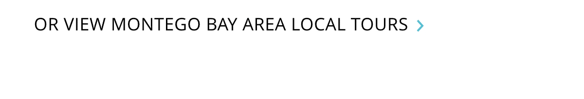 Local Tours