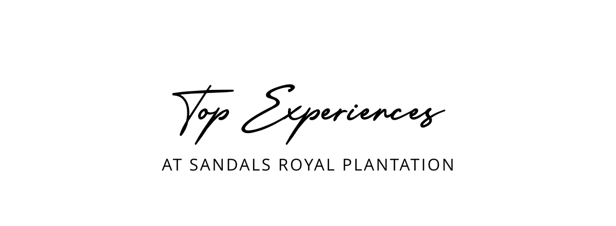 Top Experiences at Sandals Royal Plantation