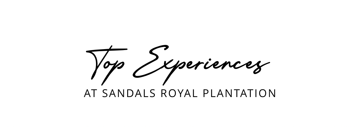 Top Experiences at Sandals Royal Plantation
