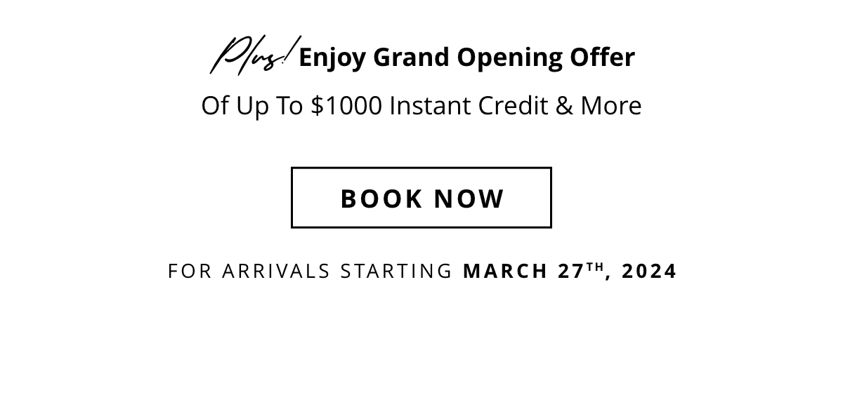 Book Now