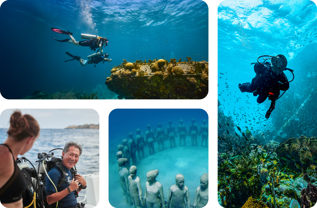 Daily Scuba Diving Included