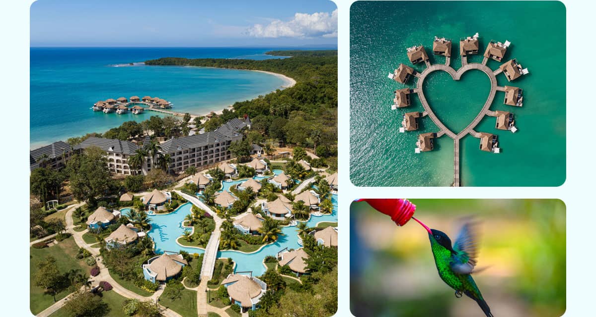 Another Side Of Jamaica