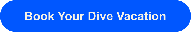 Book Your Dive Vacation