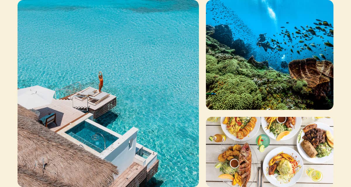All-Inclusive the Way It Was Meant to Be