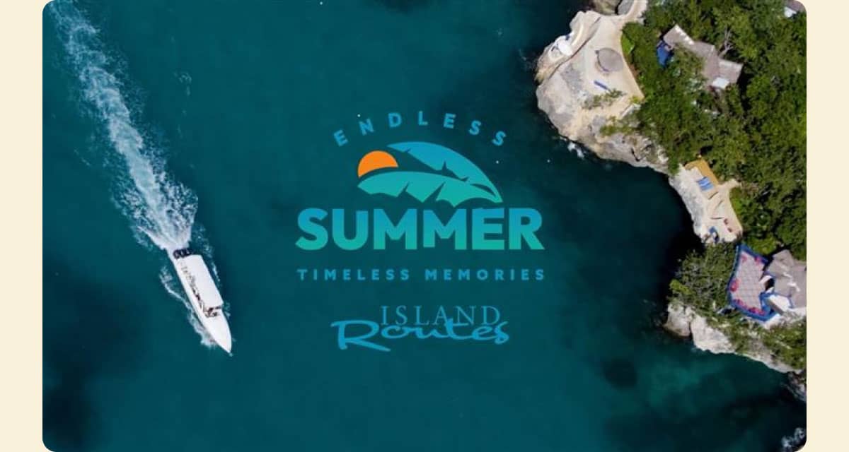 Endless Summer, Timeless Memories