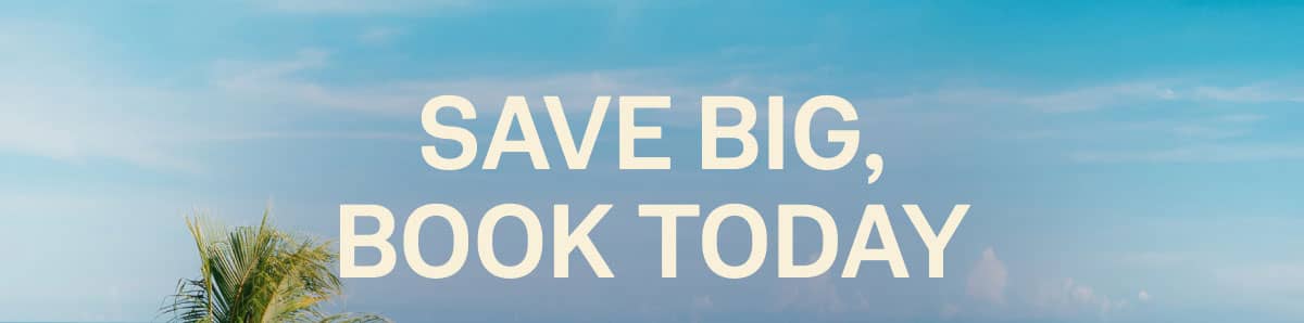 Save Big Book Today