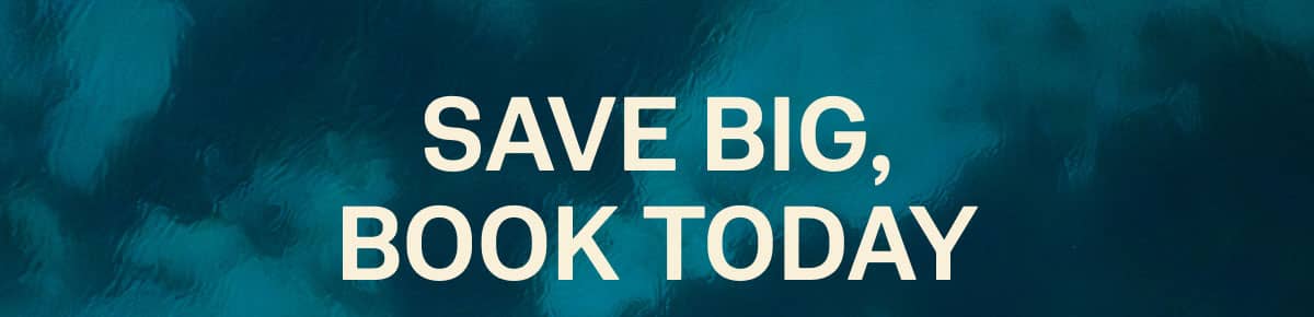 Save Big Book Today