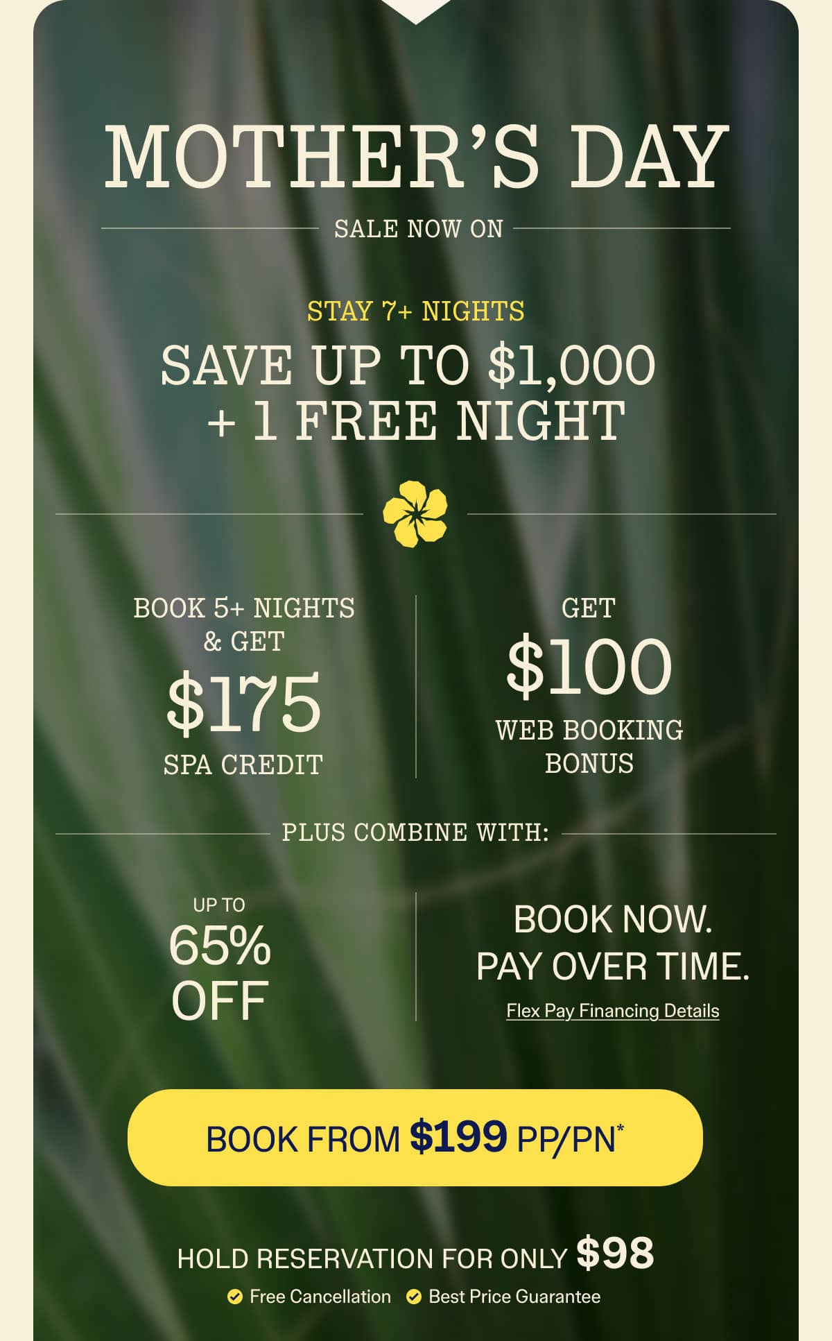 Book Online