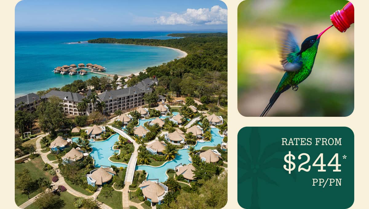 Sandals South Coast