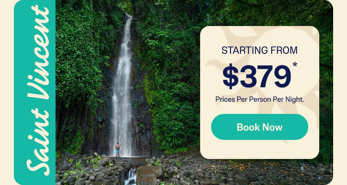 Book Now