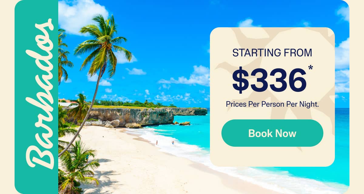 Book Now