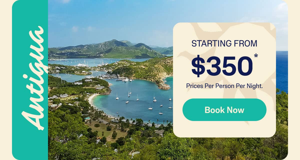 Book Now