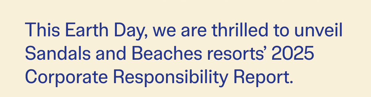 We Are Thrilled To Unveil Sandals And Beaches