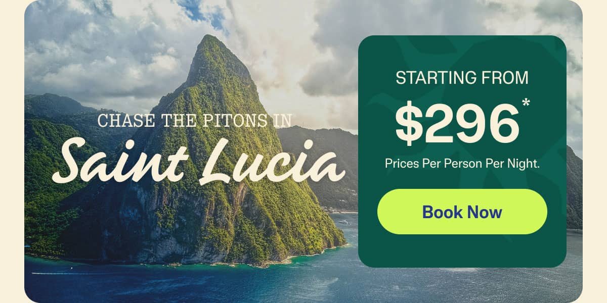 Book Now