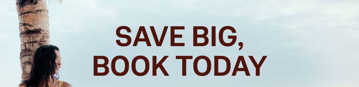 Save Big Book Today