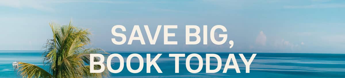 Save Big Book Today