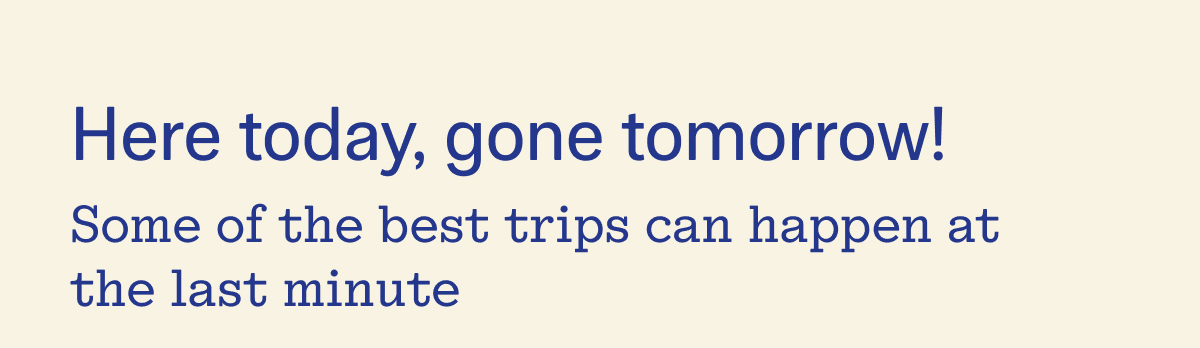 Here Today, Gone Tomorrow