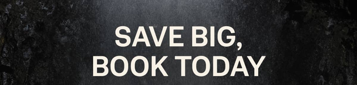 Save Big Book Today
