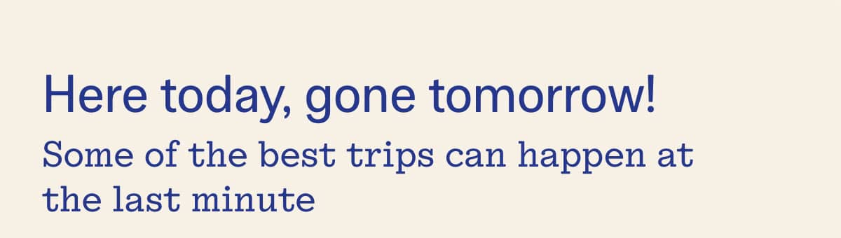 Here Today, Gone Tomorrow