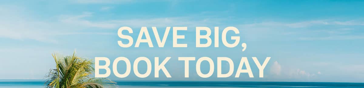 Save Big Book Today