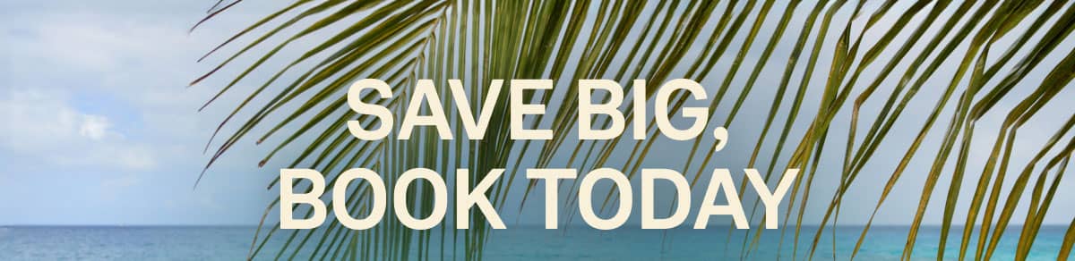 Save Big Book Today