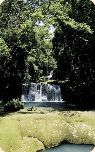 3 Bucket List Excursion