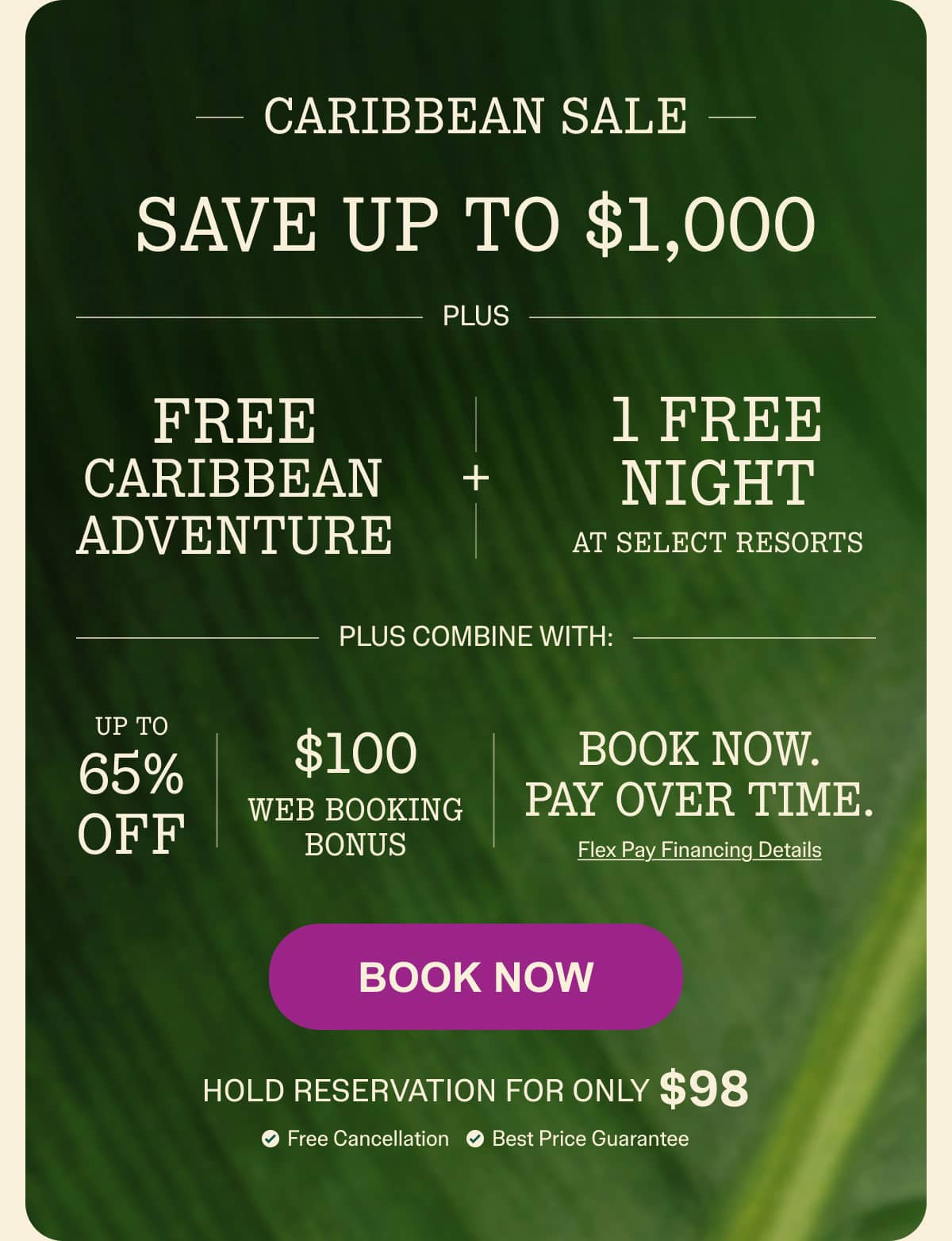 Book Now