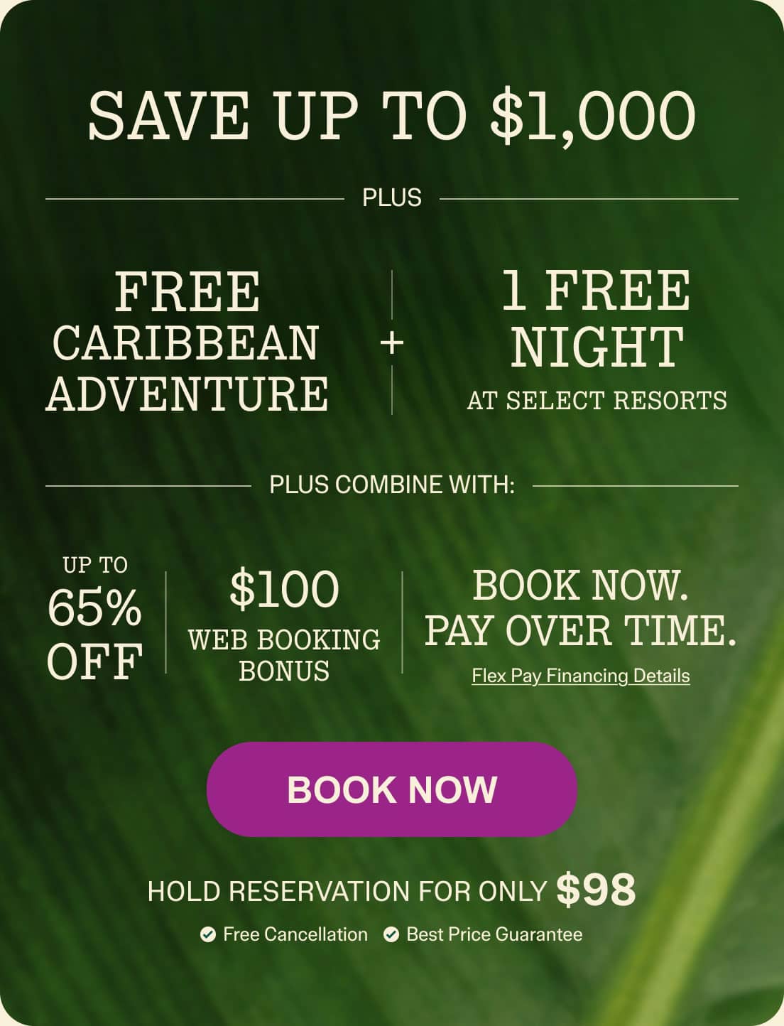 Book Now