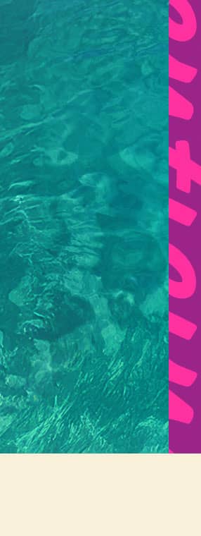 Caribbean Sale