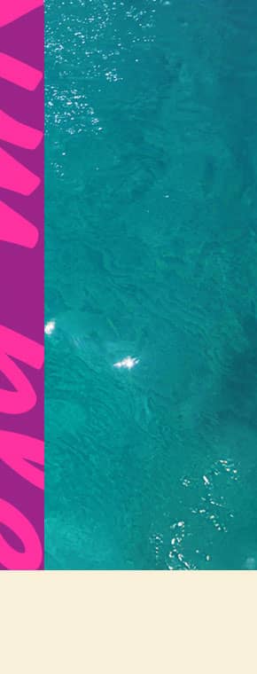 Caribbean Sale