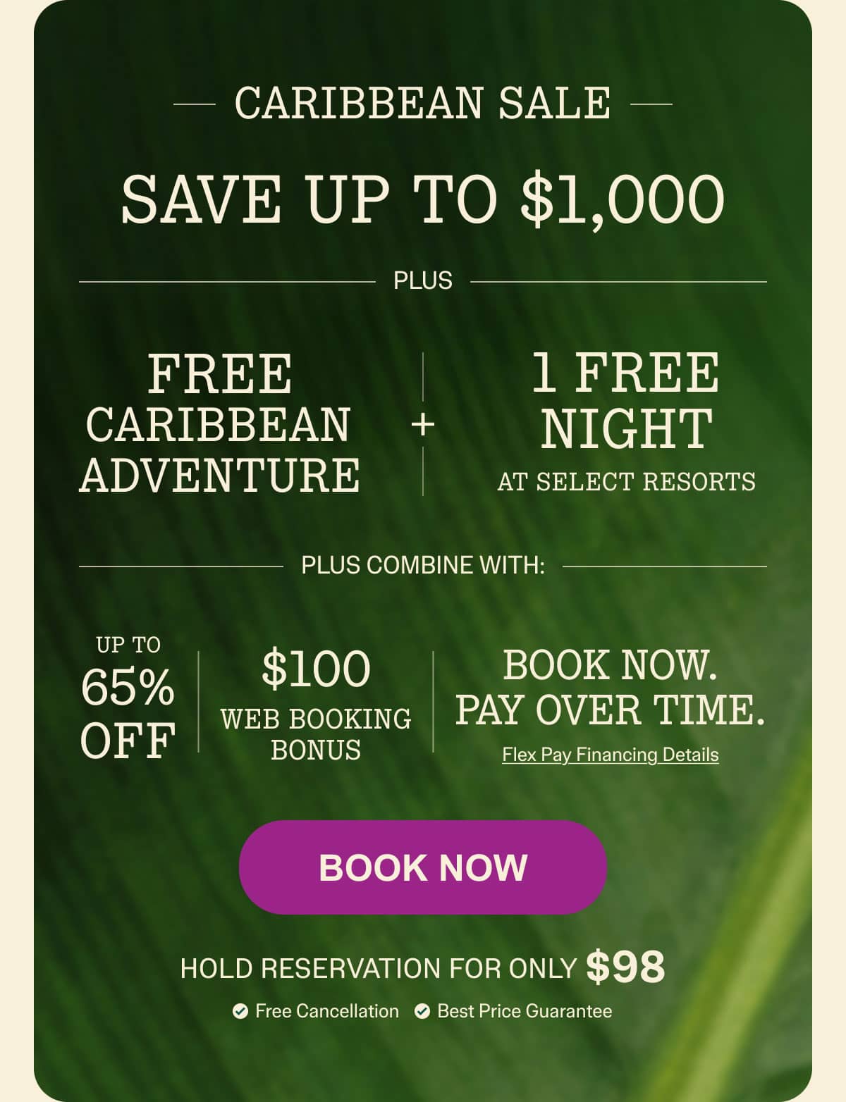 Book Online