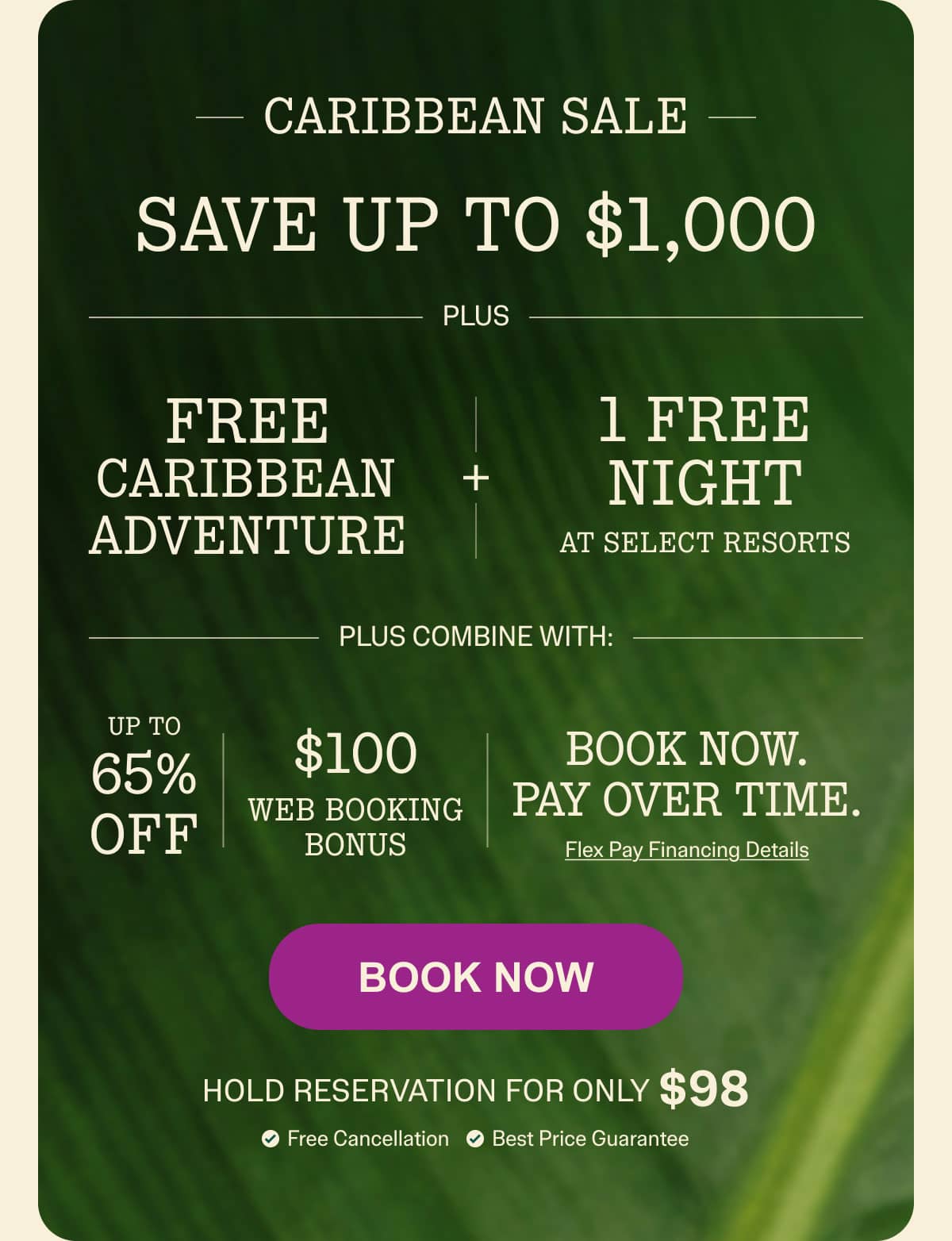Book Now