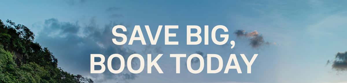 Save Big Book Today