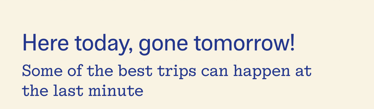 Here Today, Gone Tomorrow