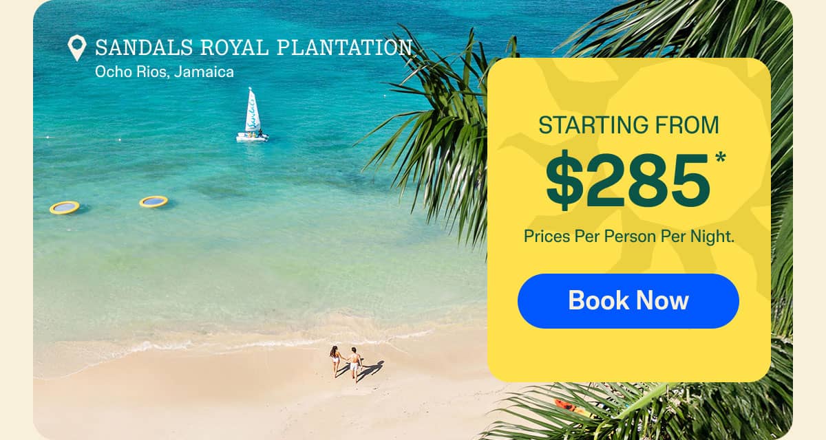 Book Now