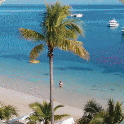 Jamaica Love