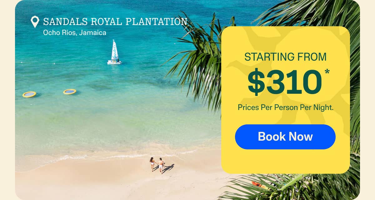 Book Now