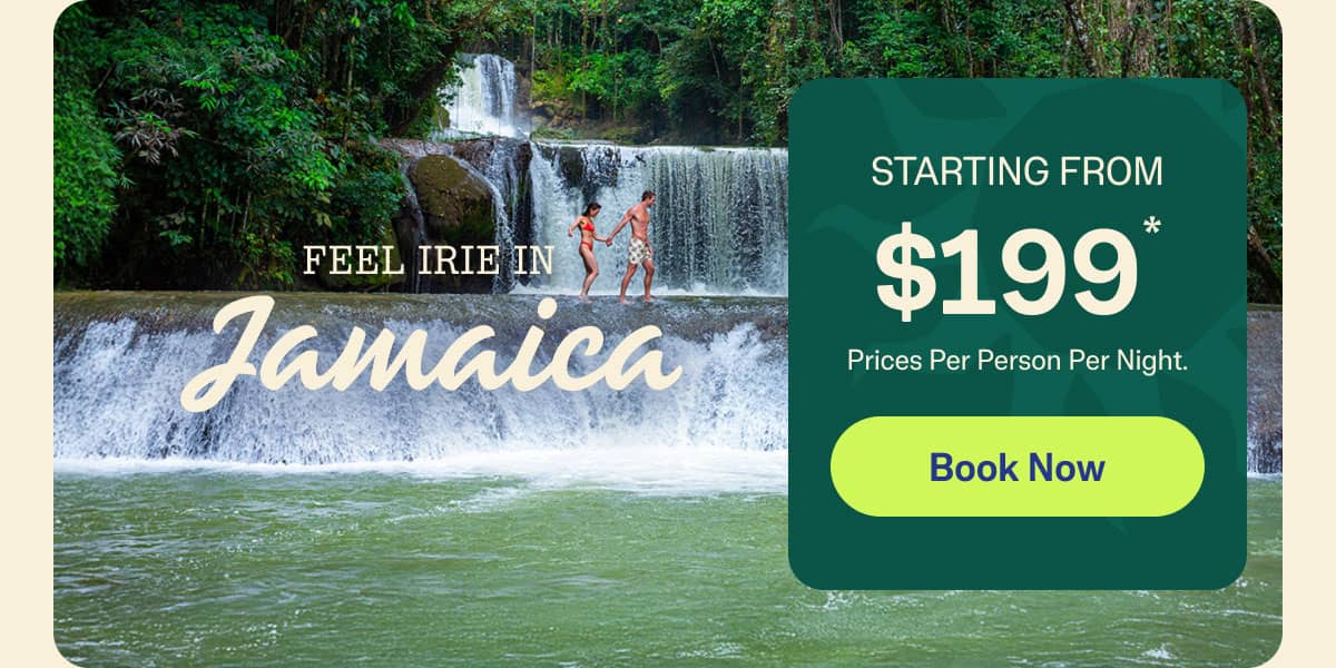 Book Now