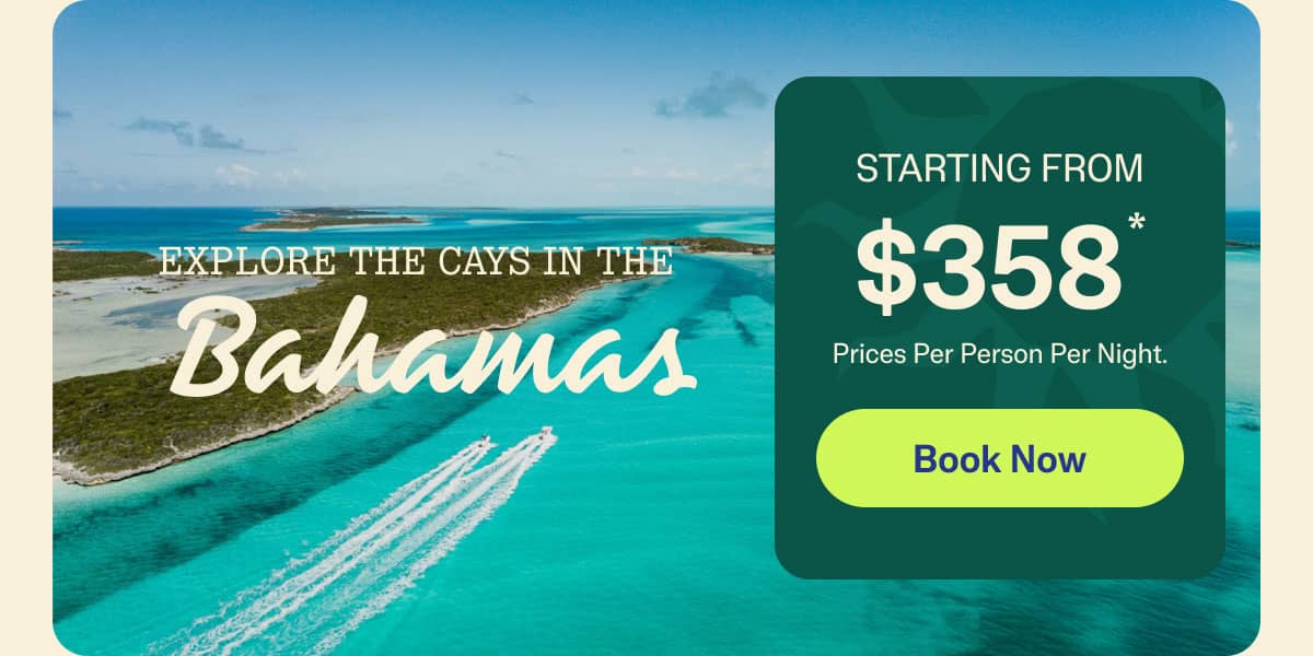 Book Now