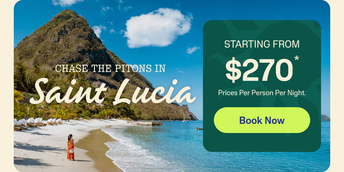 Book Now