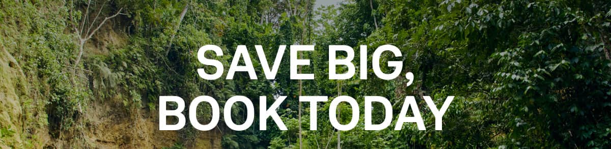 Save Big Book Today