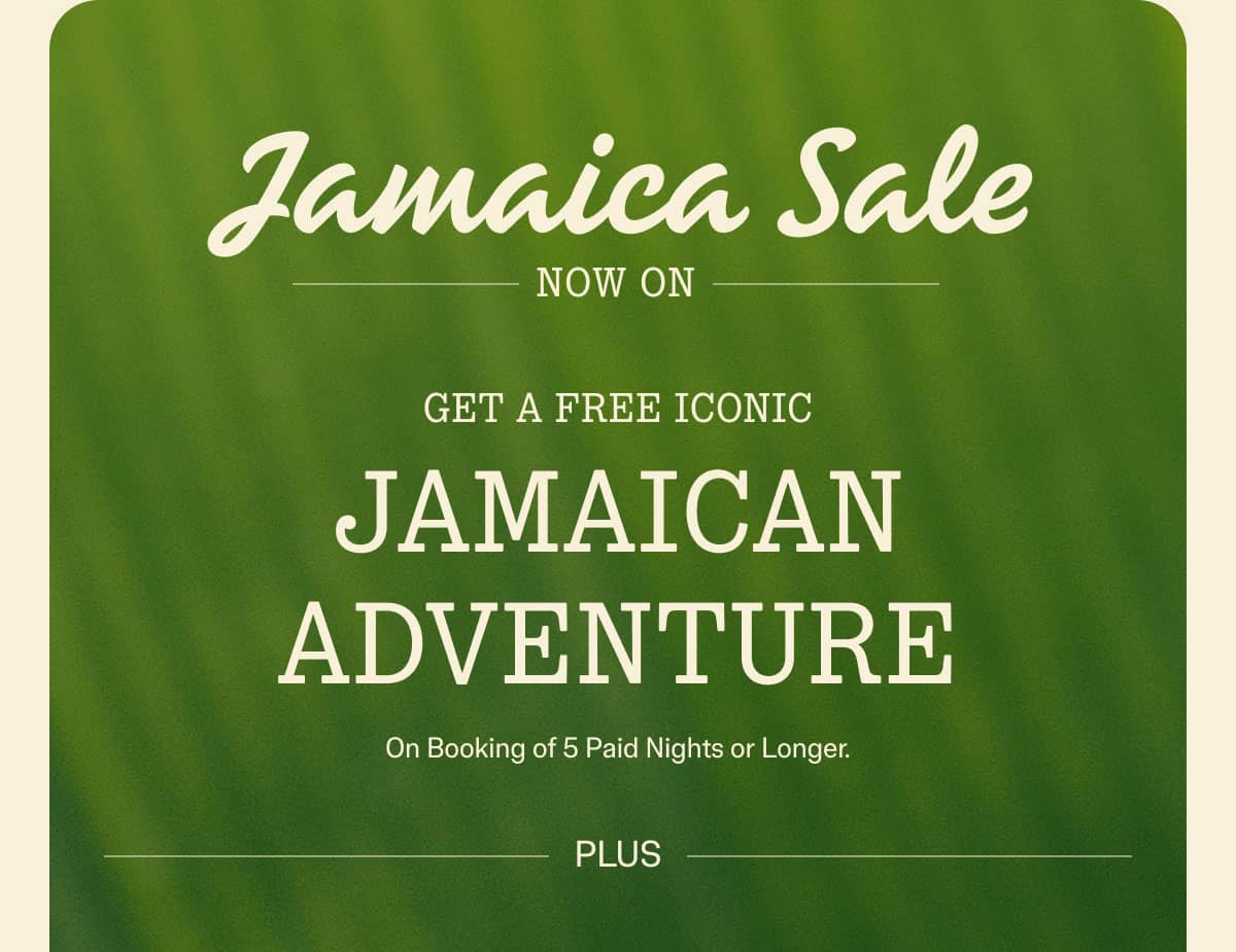 Book Now