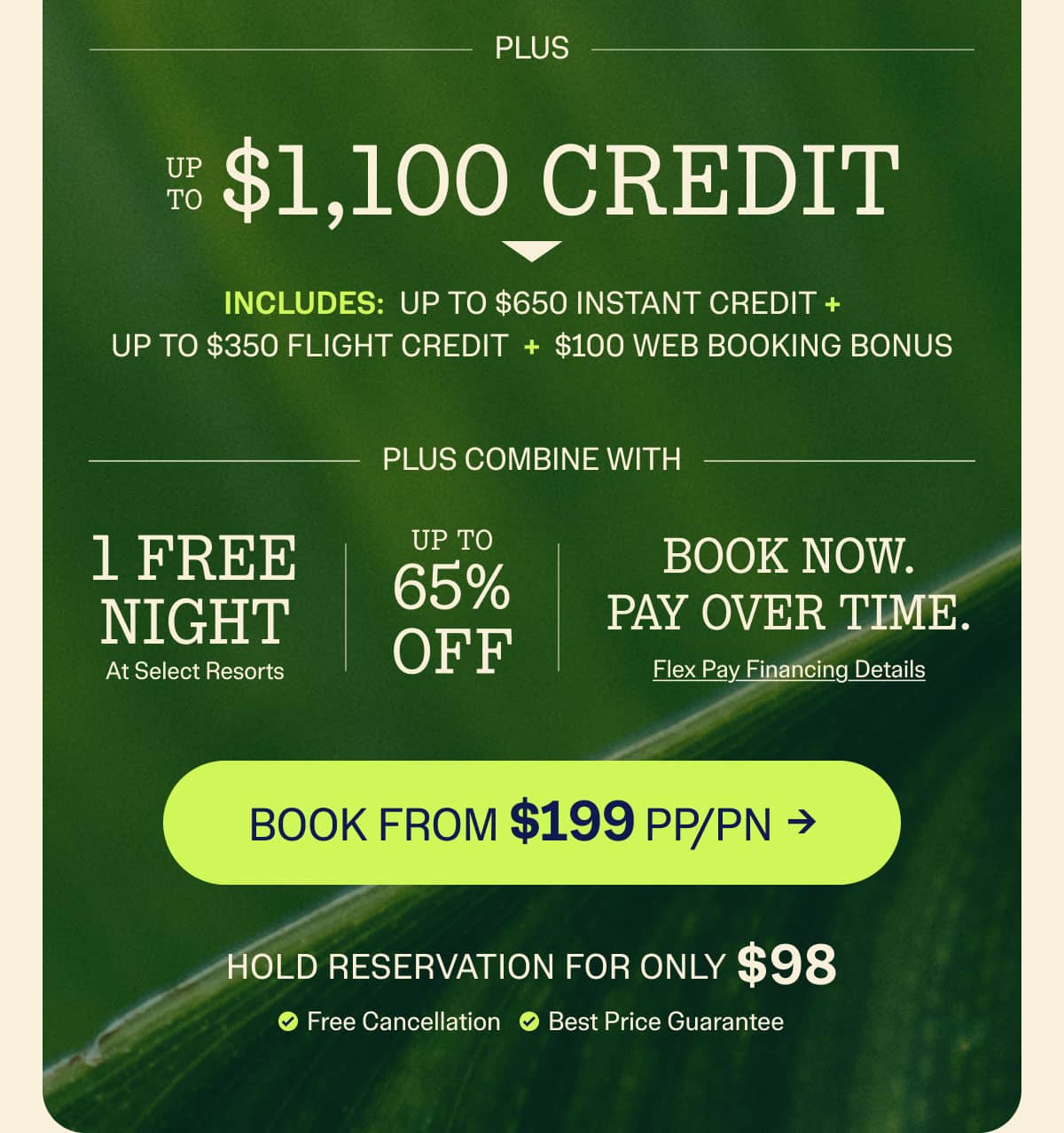 Book Now