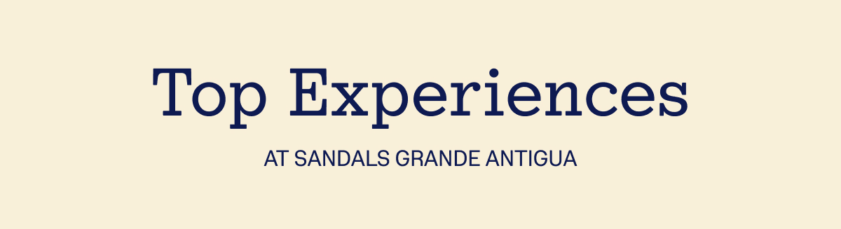 Top Experiences