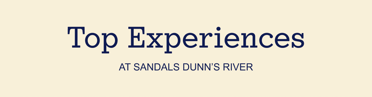 Top Experiences