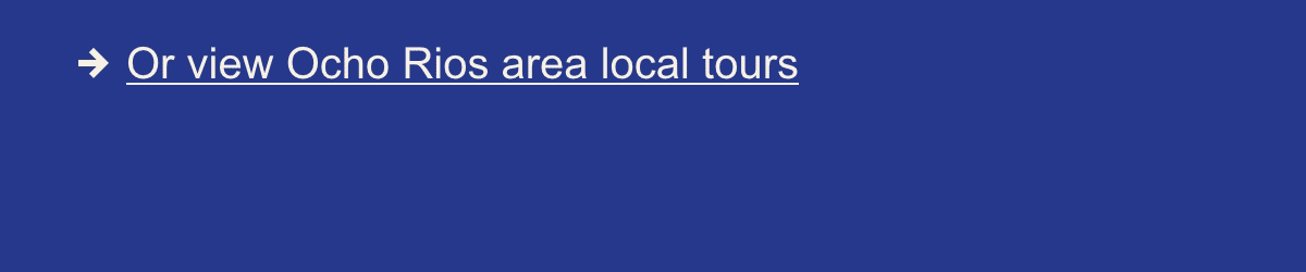 Local Tours