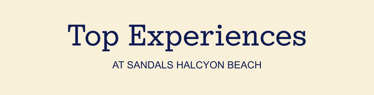 Top Experiences