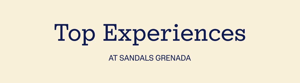 Top Experiences